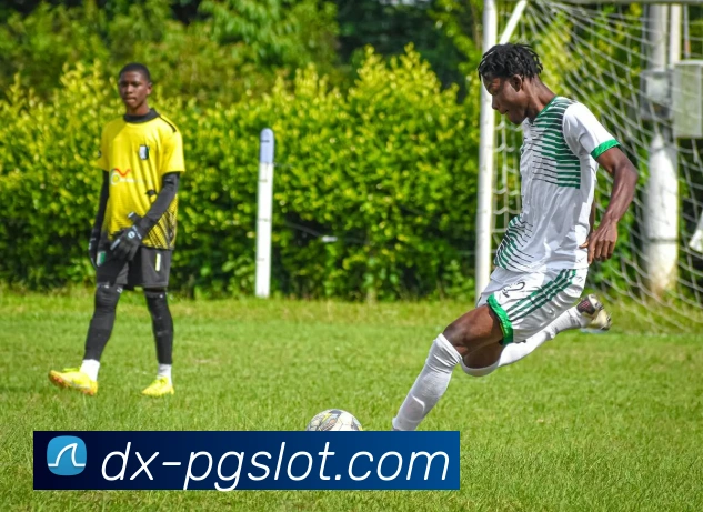 PG电子官网APP 体育赛事宣传图